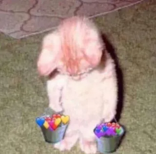 😔 cat, animal, sad, hearts, buckets, cute telegram sticker