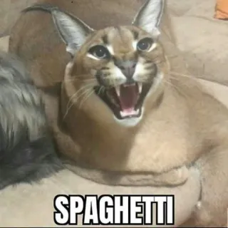 🐱 SPAGHETTI Katze, Floppa, Spaghetti, Meme, Tier, lustig telegram sticker