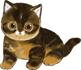 🐱 cat, kitten, cute, animal, pet telegram sticker