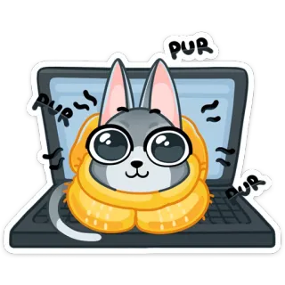 ☺️ PUR кот, компьютер, мурлыканье, ноутбук, шарф, животное telegram sticker