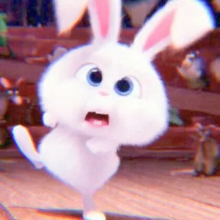 💌 Snowball The Secret Life of Pets bunny, rabbit, cute, animal, white telegram sticker