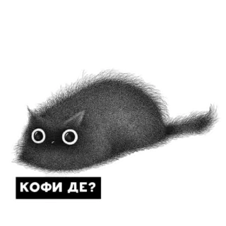 Кофи whatsapp stickers