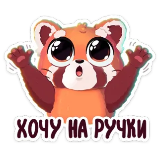🌟 ХОЧУ НА РУЧКИ panda rojo, lindo, dibujos animados, animal, quiere ser abrazado, ojos grandes telegram sticker