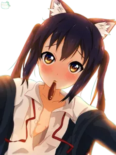 😸 whatsapp sticker