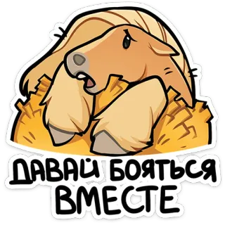 🐴 ДАВАЙ БОЯТЬСЯ ВМЕСТЕ ngựa, động vật, sợ hãi, hèn nhát, âu yếm, nga, nhãn dán whatsapp sticker