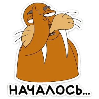 🤦‍♂️ НАЧАЛОСЬ... walrus, cartoon, sticker, animal telegram sticker