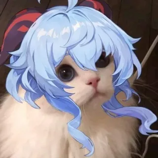 🐱 แมว, มีม, ตลก, สัตว์, ศิลปะดิจิทัล telegram sticker
