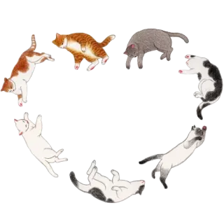 ❤️ 고양이, 고양이, 동물, 스티커, 하트, 애완동물 telegram sticker