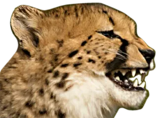 CheeStix 5000 telegram stickers