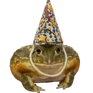 🎁 kikker, dier, feesthoed, feest, humor telegram sticker