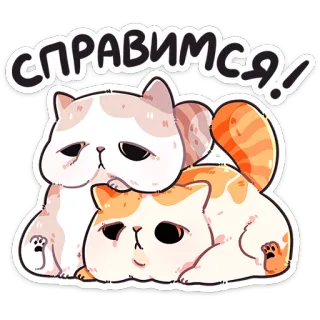 ❤️ Справимся! kat, verdrietig, sticker, schattig, russisch, dieren whatsapp sticker