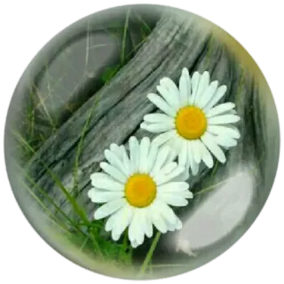 @cantinhoemotional telegram stickers
