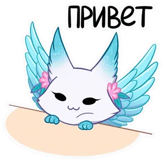 👋 ПРИВЕТ cat, winged cat, hello, cute, greeting, cartoon cat telegram sticker
