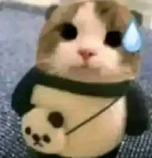 😓 kot, panda, pot, zwierzę, słodki whatsapp sticker