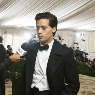 ❄ Cole Sprouse ator, celebridade, tapete vermelho, roupa formal, retrato whatsapp sticker