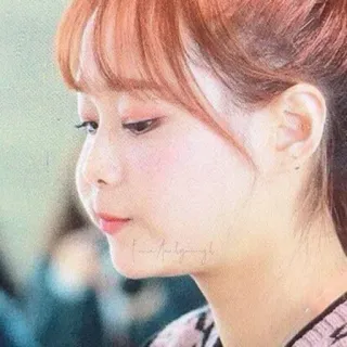 🐞 whatsapp sticker
