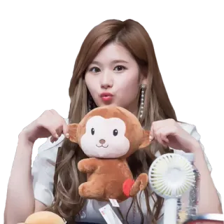 😚 Sana wanita, imut, kpop, sana, monyet, twice telegram sticker