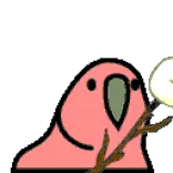 🦜 bird, pink, marshmallow, stick, cute, animal telegram sticker