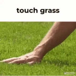 🌟 touch grass toccato erba, erba, mano, slang di internet, social media, meme whatsapp sticker