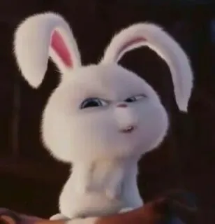 🐾 Snowball The Secret Life of Pets coniglio, coniglietto, carino, animato, animale, animale domestico, Snowball whatsapp sticker