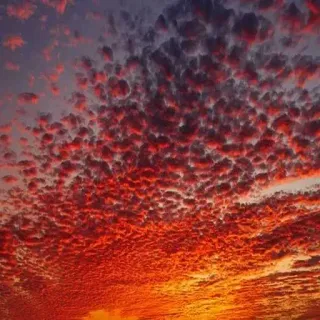 😁 sunset, clouds, sky, red, nature, scenic, atmospheric, dusk telegram sticker