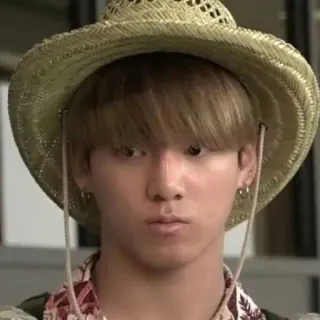 🍼 pessoa, chapéu, safari, coreano, turista telegram sticker