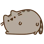🐱