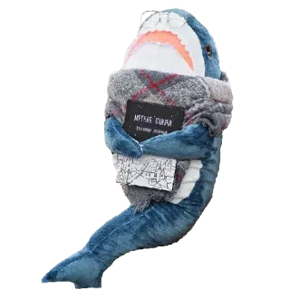 📚 Метрая Сторона
Томаш Детын Tubarão, Cachecol, Livro, Pelúcia, Pelúcia, Leitura whatsapp sticker
