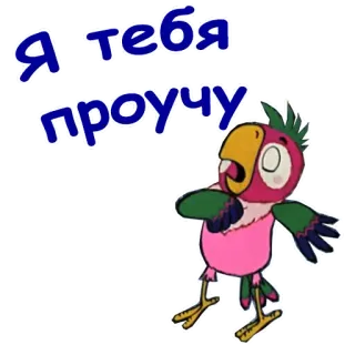 😱 Я тебя проучу loro, pájaro, animal, dibujos animados, ruso, texto whatsapp sticker