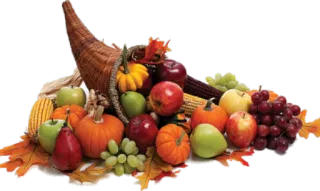 Thanksgiving @stickersandstuff telegram stickers