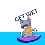 🤣 GET WET gato, surf, camisa hawaiana, verano, gafas de sol, playa, agua telegram sticker
