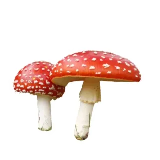 прекрасная пора @stickeerrsss telegram stickers