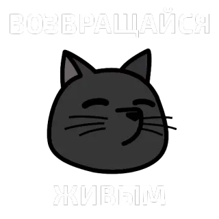 🐱 ВОЗВРАЩАЙСЯ ЖИВЫМ gato, russo, texto, adesivo, voltar vivo telegram sticker