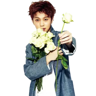 🌹 man, flowers, rose, bouquet, person, portrait telegram sticker