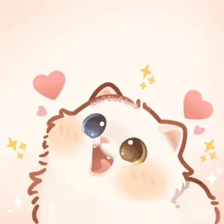 ✨ gato, fofo, kawaii, animal, coração, estrelas telegram sticker