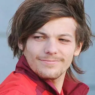 😏 Louis Tomlinson Louis Tomlinson, chanteur, One Direction, portrait, célébrité, musicien telegram sticker