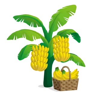 🍌 banana, fruit, plant, tropical, food, healthy, agriculture telegram sticker