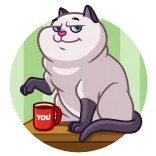 😑 YOU mèo, cốc, cà phê, động vật, hoạt hình whatsapp sticker