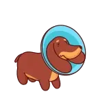 Veterok    @TgSticker whatsapp stickers