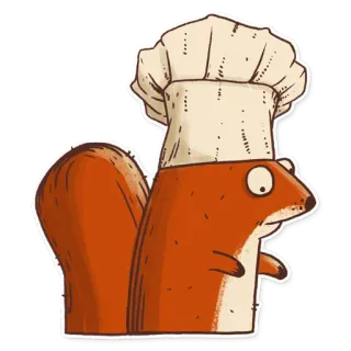 👩‍🍳 กระรอก, เชฟ, ทำอาหาร, หมวก, สัตว์, อาหาร telegram sticker