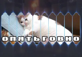 😰 опять говно chat, triste, mème, animal, pleurer whatsapp sticker