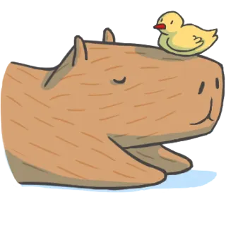 😌 capybara, duck, animal, cute, cartoon, sticker telegram sticker