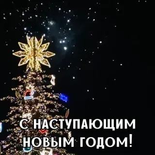 🎄 С НАСТУПАЮЩИМ НОВЫМ ГОДОМ! nouvel an, sapin noël, fêtes, salutation, célébration whatsapp sticker