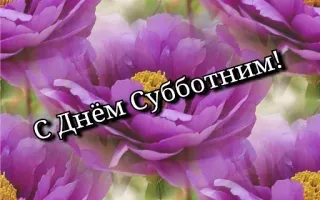🔆 С Днём Субботним! bunga, salam, ungu, selamat, sabtu telegram sticker