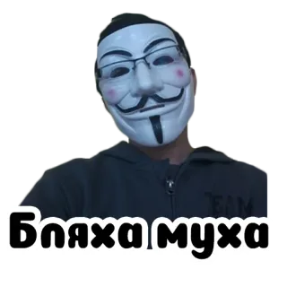 🦟 Бляха муха mask, glasses, guy fawkes telegram sticker