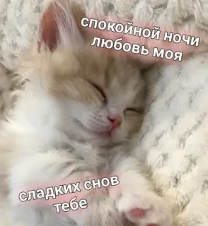 ❤ спокойной ночи любовь моя сладких снов тебе telegram sticker