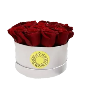 🌹 Blumen, Rosen, Strauß, Geschenk, rote Rosen telegram sticker
