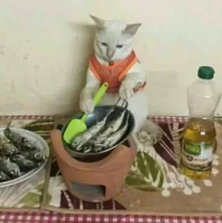 🐟 gatto, cucina, pesce, animale domestico, animale, cibo telegram sticker
