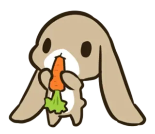 😋 lapin, lapinou, carotte, animal, mignon, kawaii, dessin animé whatsapp sticker