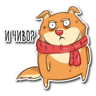 🤨 И ЧИВО? dog, scarf, annoyed, expression, animal, cartoon telegram sticker